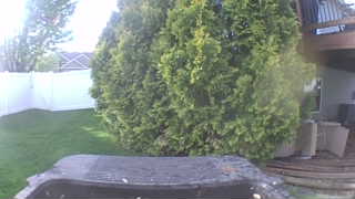Unidentified clip