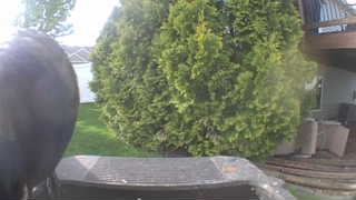 Unidentified clip