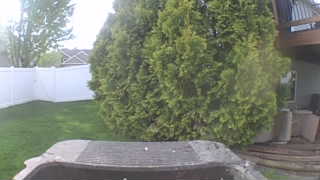 Unidentified clip