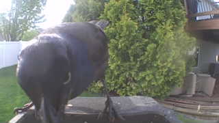 Unidentified clip