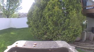Unidentified clip