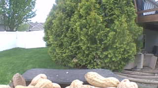 Unidentified clip