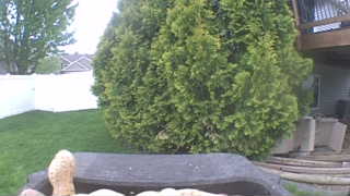 Unidentified clip