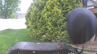 Unidentified clip