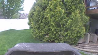 Unidentified clip