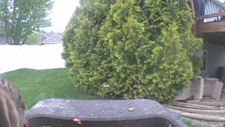 Unidentified clip