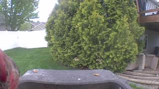 Unidentified clip