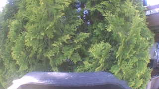Unidentified clip
