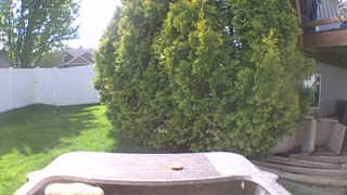 Unidentified clip