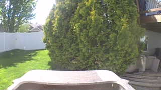 Unidentified clip
