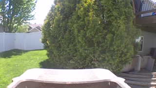Unidentified clip