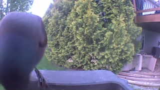 Unidentified clip