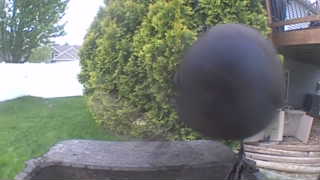 Unidentified clip