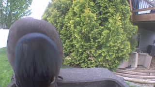 Unidentified clip