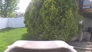 Unidentified clip