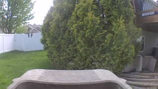 Unidentified clip
