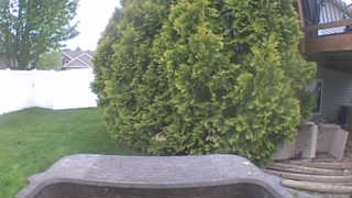 Unidentified clip