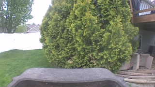 Unidentified clip