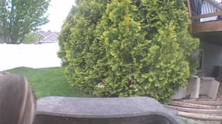 Unidentified clip