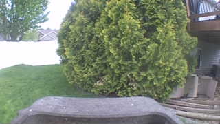 Unidentified clip