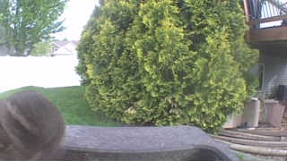 Unidentified clip