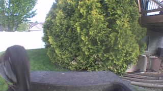 Unidentified clip