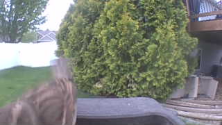 Unidentified clip