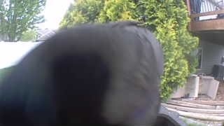 Unidentified clip
