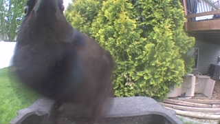 Unidentified clip