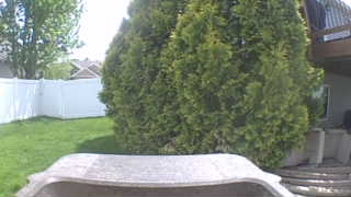 Unidentified clip