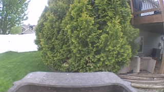Unidentified clip