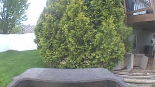 Unidentified clip