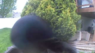 Unidentified clip