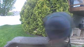 Unidentified clip
