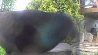 Unidentified clip
