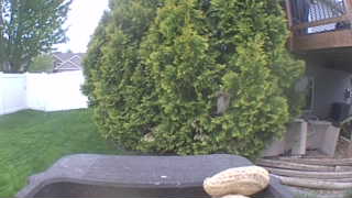 Unidentified clip