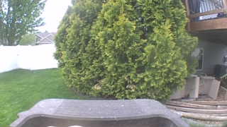 Unidentified clip