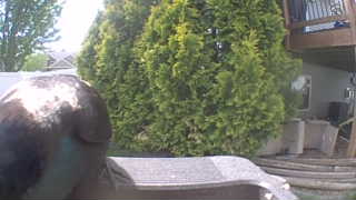 Unidentified clip