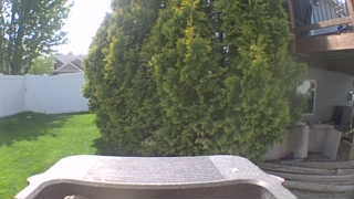 Unidentified clip