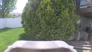 Unidentified clip