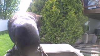 Unidentified clip