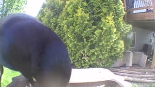 Unidentified clip