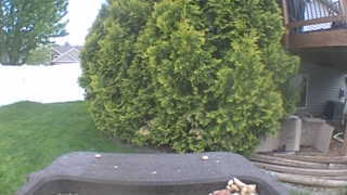 Unidentified clip