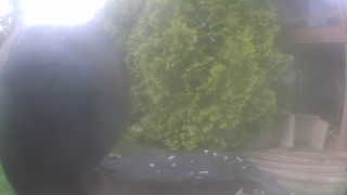 Unidentified clip