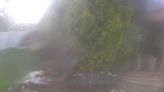 Unidentified clip