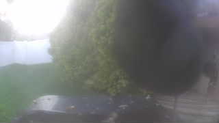 Unidentified clip