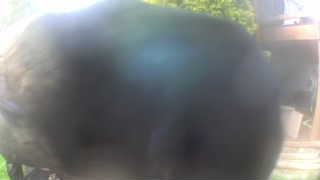 Unidentified clip
