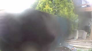Unidentified clip