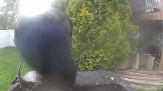 Unidentified clip