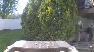 Unidentified clip